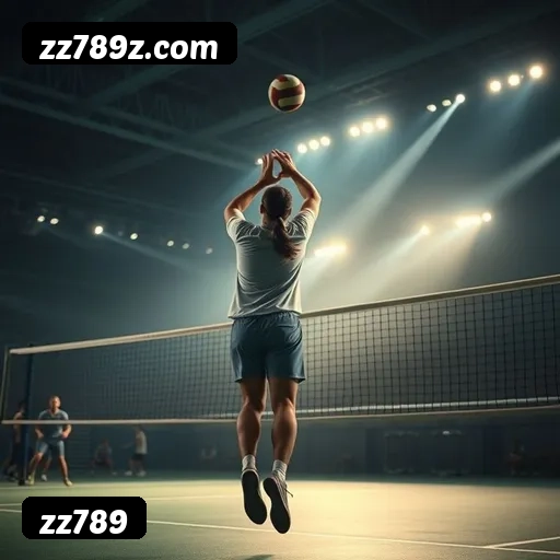 Estatísticas zz789 novembro 2024 - 87 mil jogadores ativos, R$47M pagos, RTP 96.52%