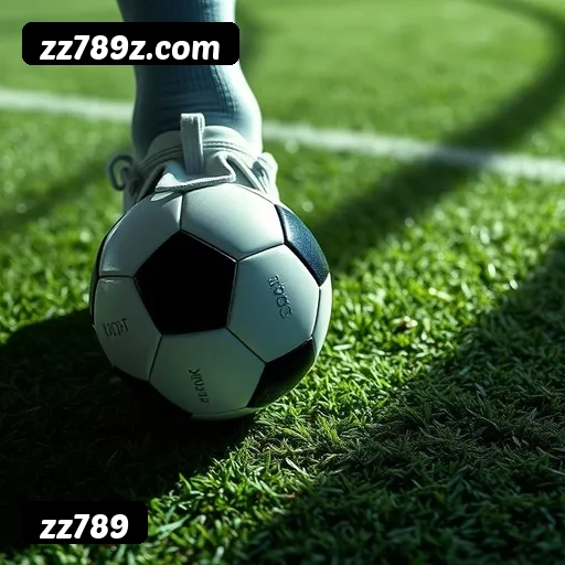 6 vantagens exclusivas do programa VIP da zz789